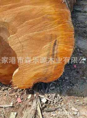 2026新中式整块原木金丝楠木水波纹大板实木大板茶桌餐非洲楠木木
