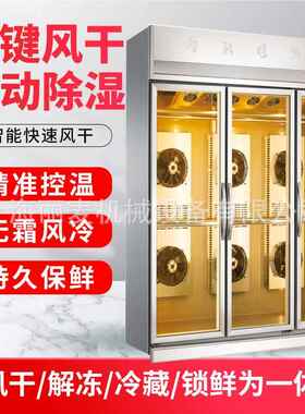 北京烤鸭晾胚柜 187鸽子叉烧恒温除湿冻解风柜风干箱 晾干鸭风柜