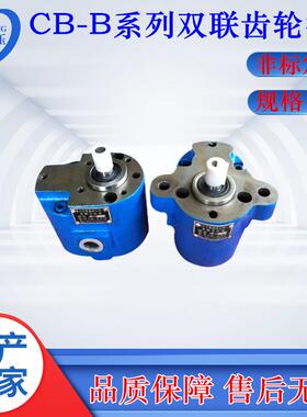 两进两出B-B16/20B10B32B80B64CB-B25WTQ/双联润滑齿C轮抽油泵
