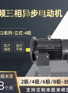 河北电机厂家大量销售YVFE24极2.2-200W变频裂变三相异步电机