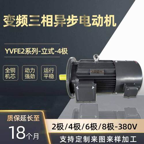 河北电机厂家大量销售YVFE24极2.2-200W变频裂变三相异步电机