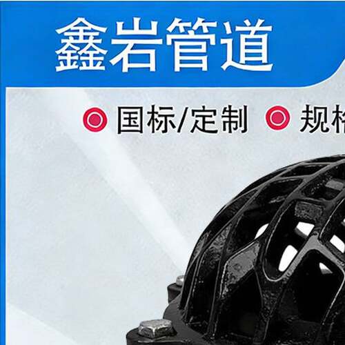 H42X-10/16铸铁法兰底阀 碳钢抽水止回阀新型吸水阀DN80 100 150