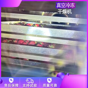菌类产品低温真空冻干机 宠物零食真空冻干机 药品大型冻干设备