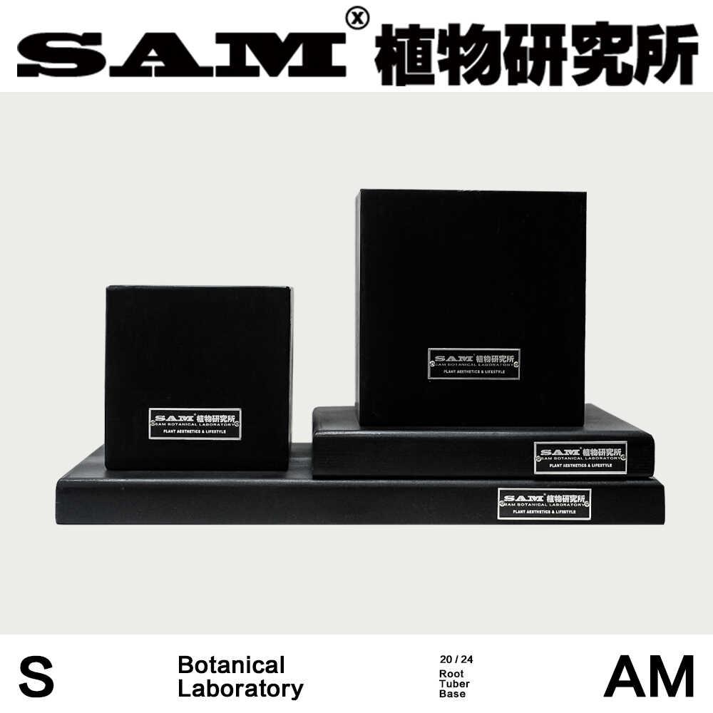 块根陈列台/实木底座/家居陈列装饰/植物高低错落陈列拍摄