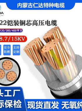仁达工厂国标ZC-YJV2215KV3*240铠装铜芯高压电力电缆