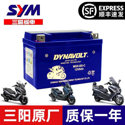 三阳巡弋300 TL500/TL508/FNX150/MAXSYM400i 600i九妹Z300电瓶
