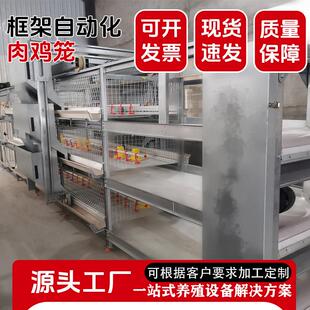层叠式全自动蛋鸡笼自动化捡蛋清粪大层叠蛋鸡笼大型鸡场养鸡设备