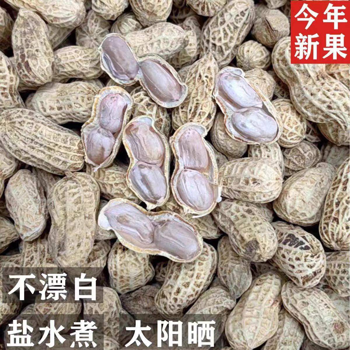 福建福安特产小种花生穆阳洋溪农家水煮花生盐水煮白晒淡咸干花生
