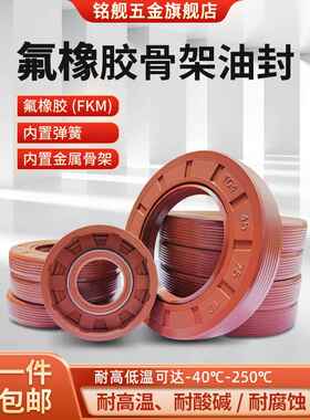 氟胶骨架油封TC/TG耐高温30*48/50/52/55/56/57/58*7/8/10/12耐压