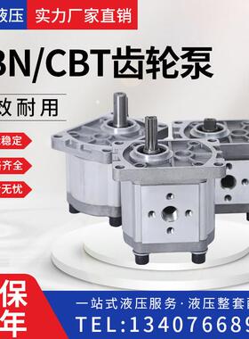 液压泵CBN齿轮泵CBTF304/306/310/314/316/320/325泵总成左转右旋