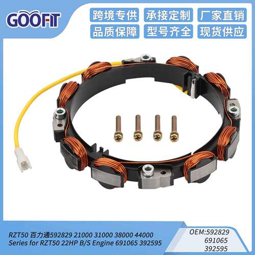 点火线圈定子百力通592829 21000 31000 38000 44000 Series RZT5
