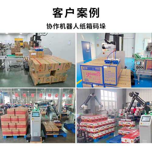 纸箱垛机 3品0码KG协作机器API人垛机 食品饮外箱自动封箱码码垛