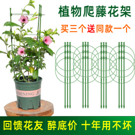 爬藤花架园艺支柱架阳台，绿萝月季铁线莲，藤本植物攀爬蟹爪兰支撑杆