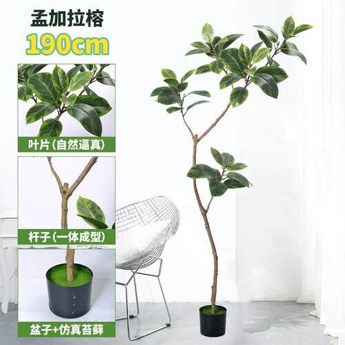 源头家孟加绿拉榕仿真植高端轻奢室内客厂仿生花大型L款/M款落厅