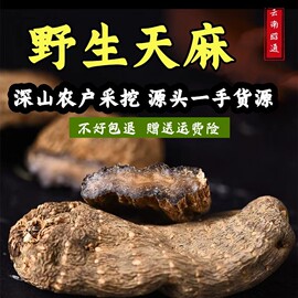 正宗云南昭通野生乌天麻特级无硫小草坝新鲜干货500g可切片代磨粉