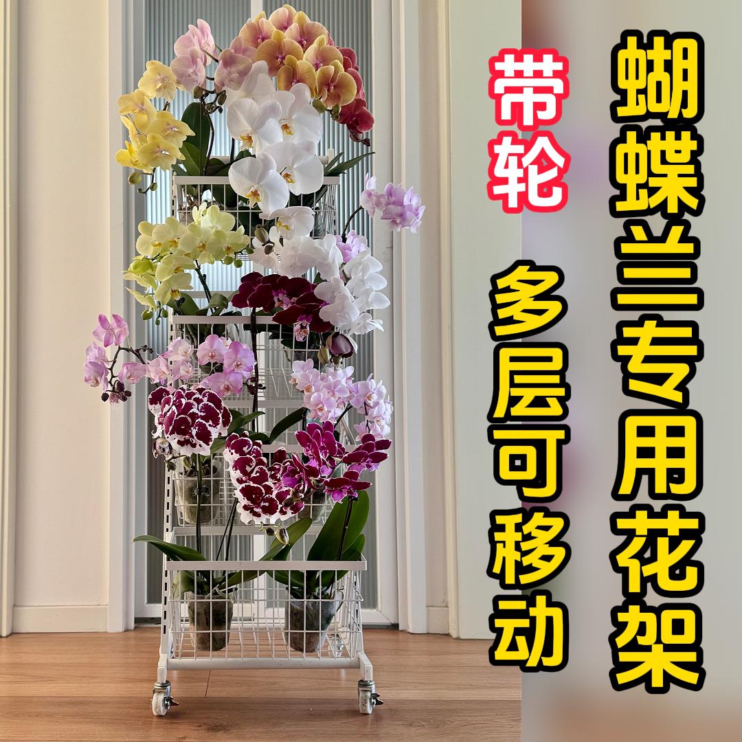 花架摆放蝴蝶兰专用多层架子客厅落地式可移动高级感创意带轮推车