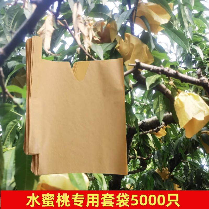 水桃子专用套袋果袋桃子袋奉化桃阳山水果套袋防水防虫防鸟5000只