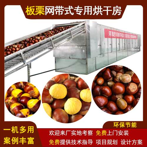 板栗仁烘干机网带全自动板栗脱水烘干设备栗子仁甘栗干果风干机