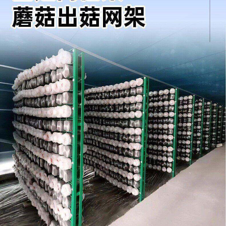 食用菌出菇架大棚方舱出菇网格架培菌种殖架出菇网片蘑菇架蘑菇网