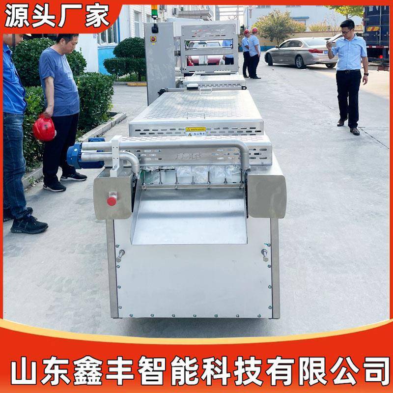 手撕烤兔拉伸膜真空包装机 免浆牛蛙全自动连续拉伸膜真空包装机