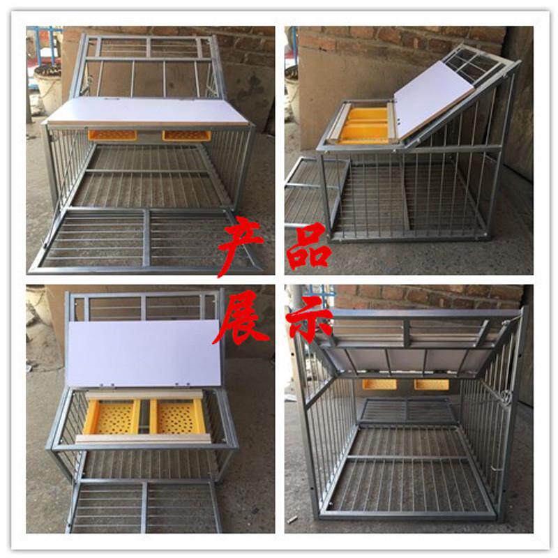 不出 门笼鸽舍只鸽子鸽  笼鸽笼进口放飞棚 赛跳用具跳信鸽进用品图片
