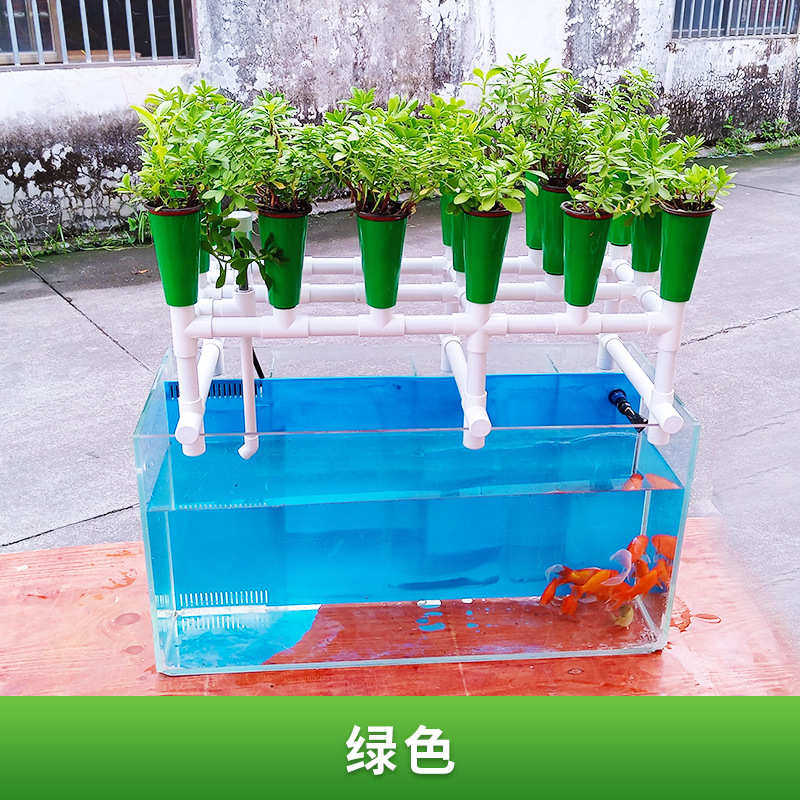 系统系统种植鱼花架共生种植菜水培鱼缸系统玻璃鱼潮汐阳台共生