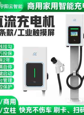 电动汽车直流充电桩快充380V15KW20KW30KW60KW80KW9孔家用商用共