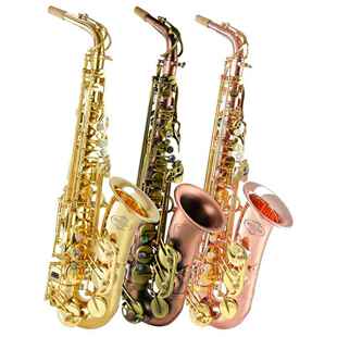 降调中音降调次中音萨克斯风乐器初学者新手儿童入门无