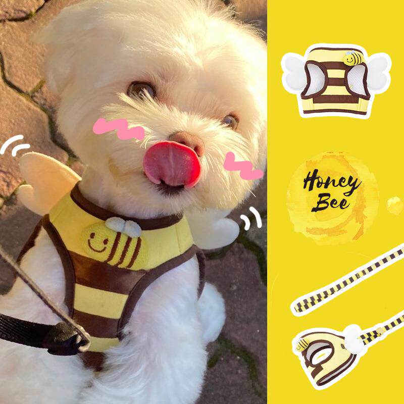 小蜜蜂狗狗牵引绳可爱小狗背心式胸背带遛狗牵引绳家用小型犬