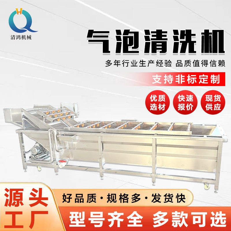 商用海带清洗机油麦菜气泡设备学生餐厅蔬菜加工流水线果蔬食品级