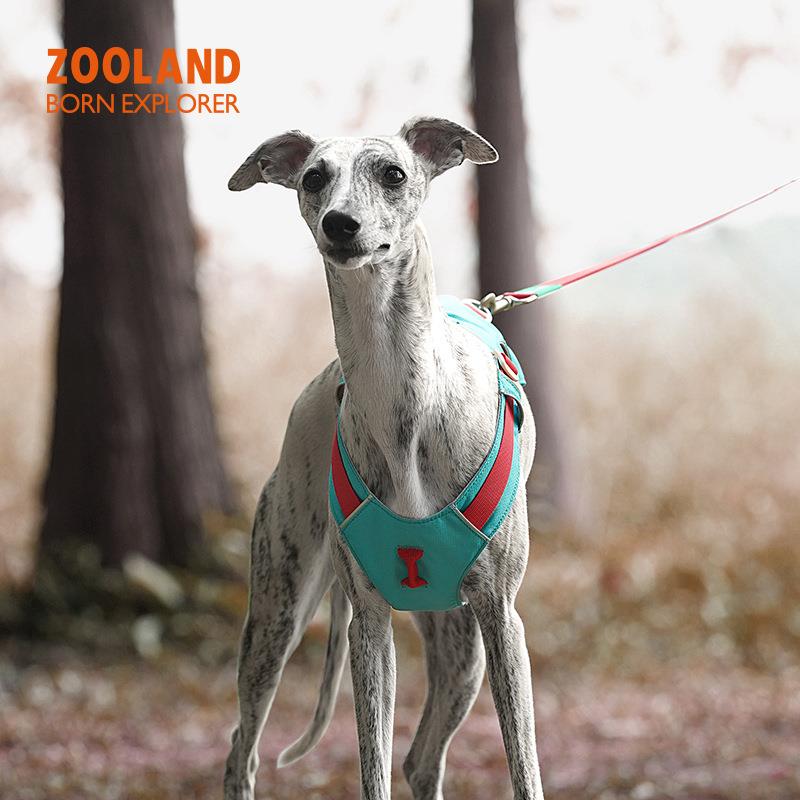 ZOOLAND狗狗胸背牵引绳遛幼小中大型犬泰迪柯基比熊边牧博美链子图片