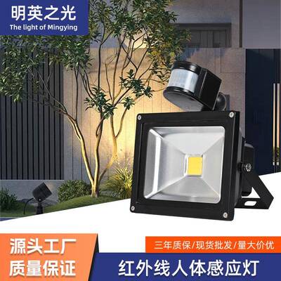 LED感应投光灯户外防水红外线人体智能感应泛光灯景观绿化照树灯