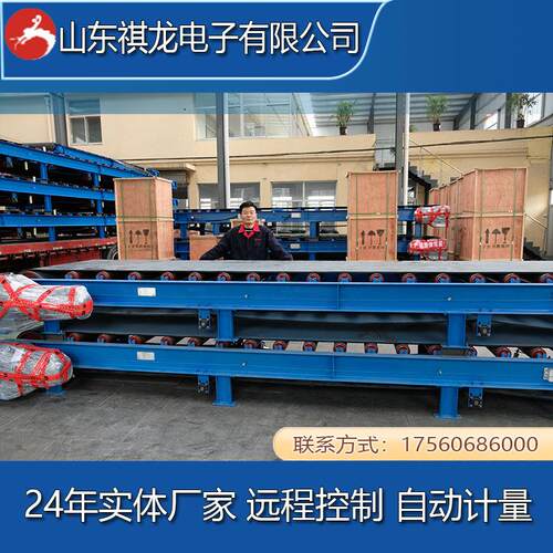 调速电子计量皮带秤称重给料机精度高计量设备矿用调速定量给料秤