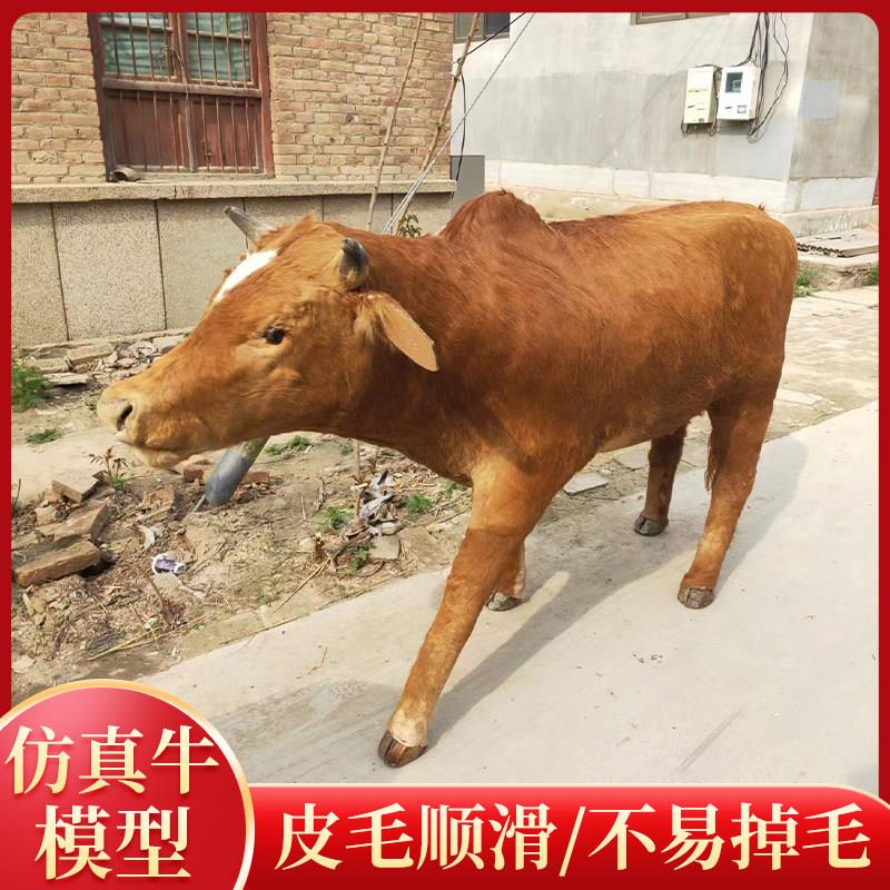 彷真动物黄牛模型西门塔尔牛装饰标本庭院耕地牛水牛大型风景区摆