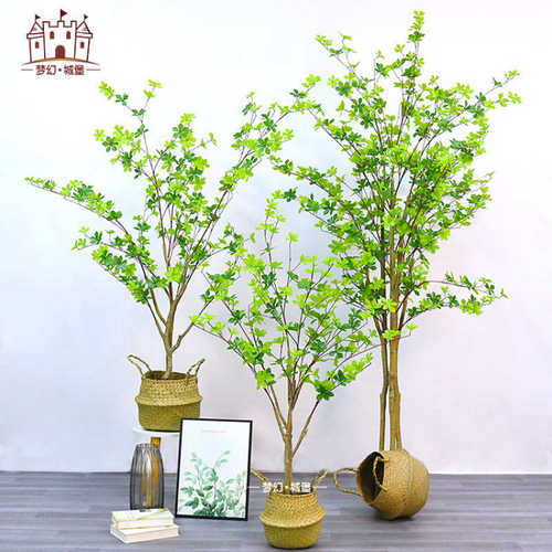 落地南天竹绿旅人盆景植植假摆件大型盆栽高级室内蕉感室内仿真绿