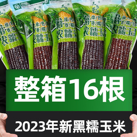 黑玉米糯米新鲜正宗东北甜粘有机玉米减棒低脂期即食真空装包装袋