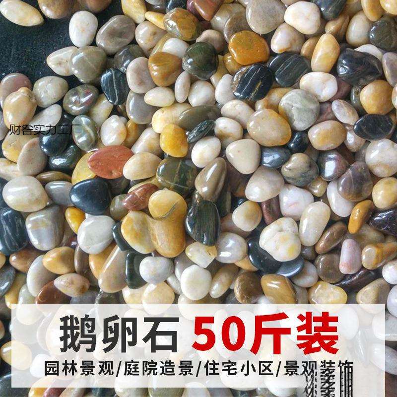 花盆里的鹅卵石阳台地面装饰个性花园鱼缸景观户外院子石头沙石