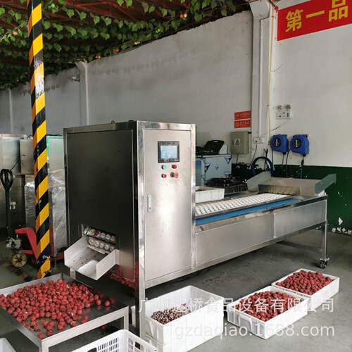 广州达桥原创工业型智能化自动化荔枝去核机捅核机荔枝加工线设计