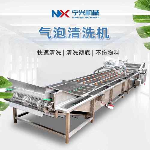 宁兴全自动枸杞清洗设备鲜玉米高压喷淋清洗设备小型气泡清洗机