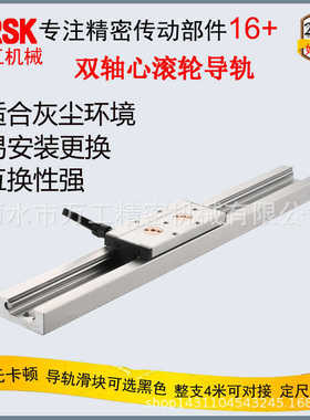 双轴心滚轮导轨可调预压高速滑动低噪音SGR20滚轮直线传动导轨