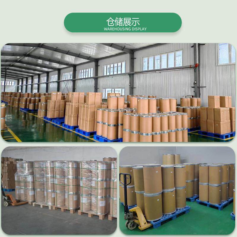 有机羽衣甘蓝粉羽衣甘蓝粉脱水蔬菜粉喷雾干燥现货快速发货