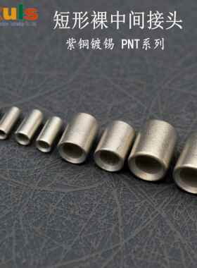 直通中间接头紫铜短形中间连接端子铜管接线 线端子PNT1.25/2/60/