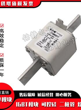 170M5060 170M5061 170M5062 170M5063巴斯曼熔断器170M5064