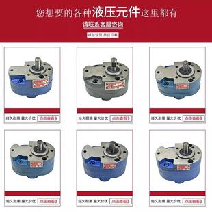 液压齿轮泵CB B10 B20 B25 B16 B40 63油泵配件大全 B32