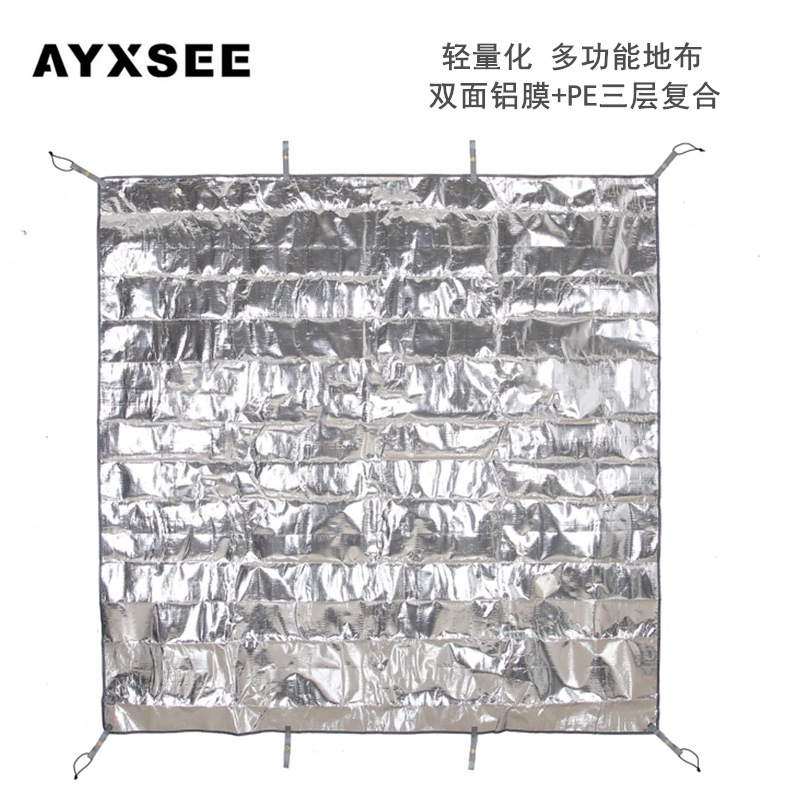 AYXSEE野餐垫防潮垫加厚pe野餐垫