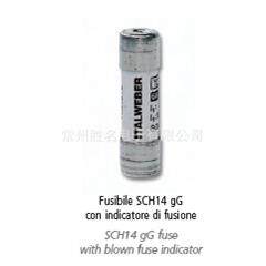 ITALWEBER 熔断器22*58 690V CH22 aR 50A 1462050 保险丝 品质