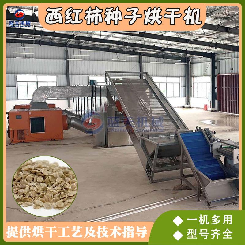 西红柿种子烘干机连续式蔬菜粮食种子分离取籽清选烘干机生产线