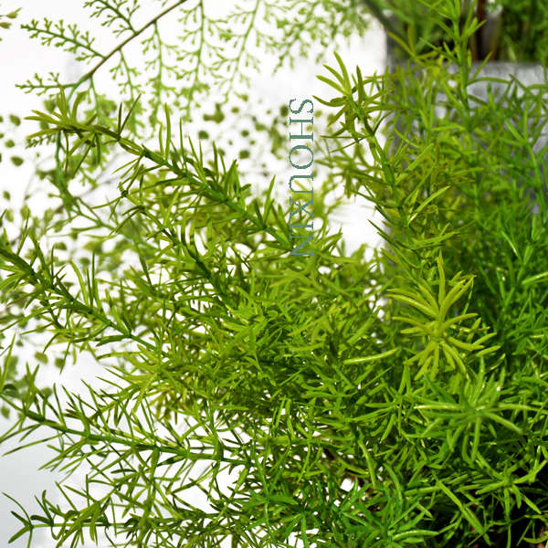 仿真蕨类植物天门冬室内绿化景观背景摆设墙装饰绿植盆栽花卉假花
