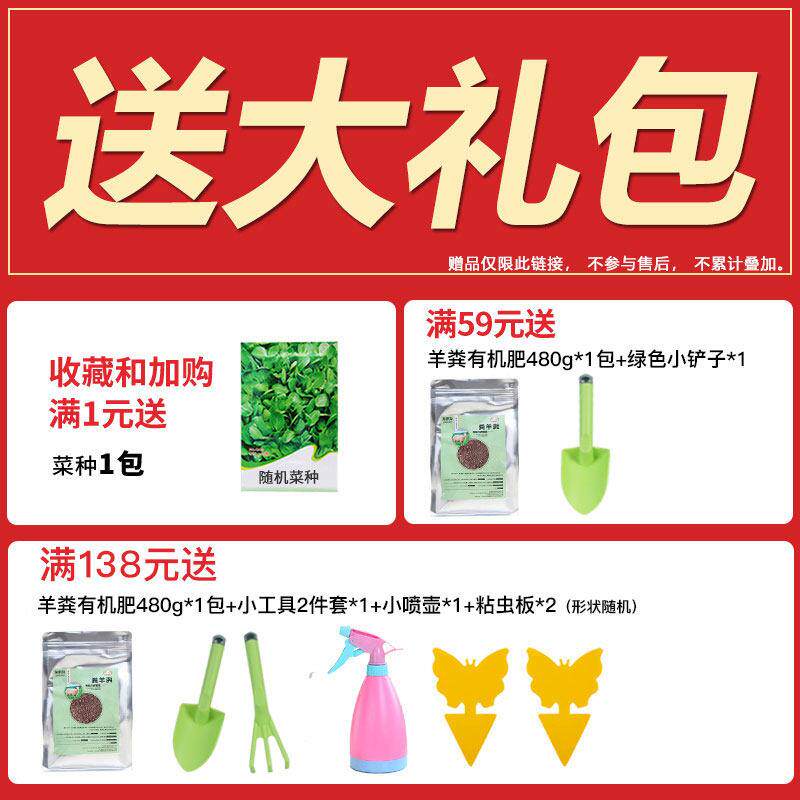 阳台D202多层种种菜盆自吸水懒人花家庭蔬菜植盆盆花顶楼长方形塑
