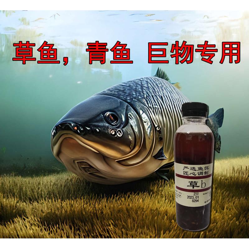 药酒阿魏小药鱼吞舟草b钓鱼诱鱼剂野钓鲤鱼鲫鱼黑坑用开口剂饵料